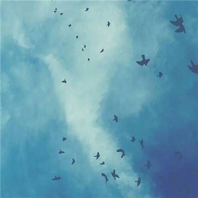 九曲封神果盘最新版下载